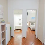 Mec Appartement *